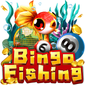 Ảnh bìa game Câu Cá Bingo